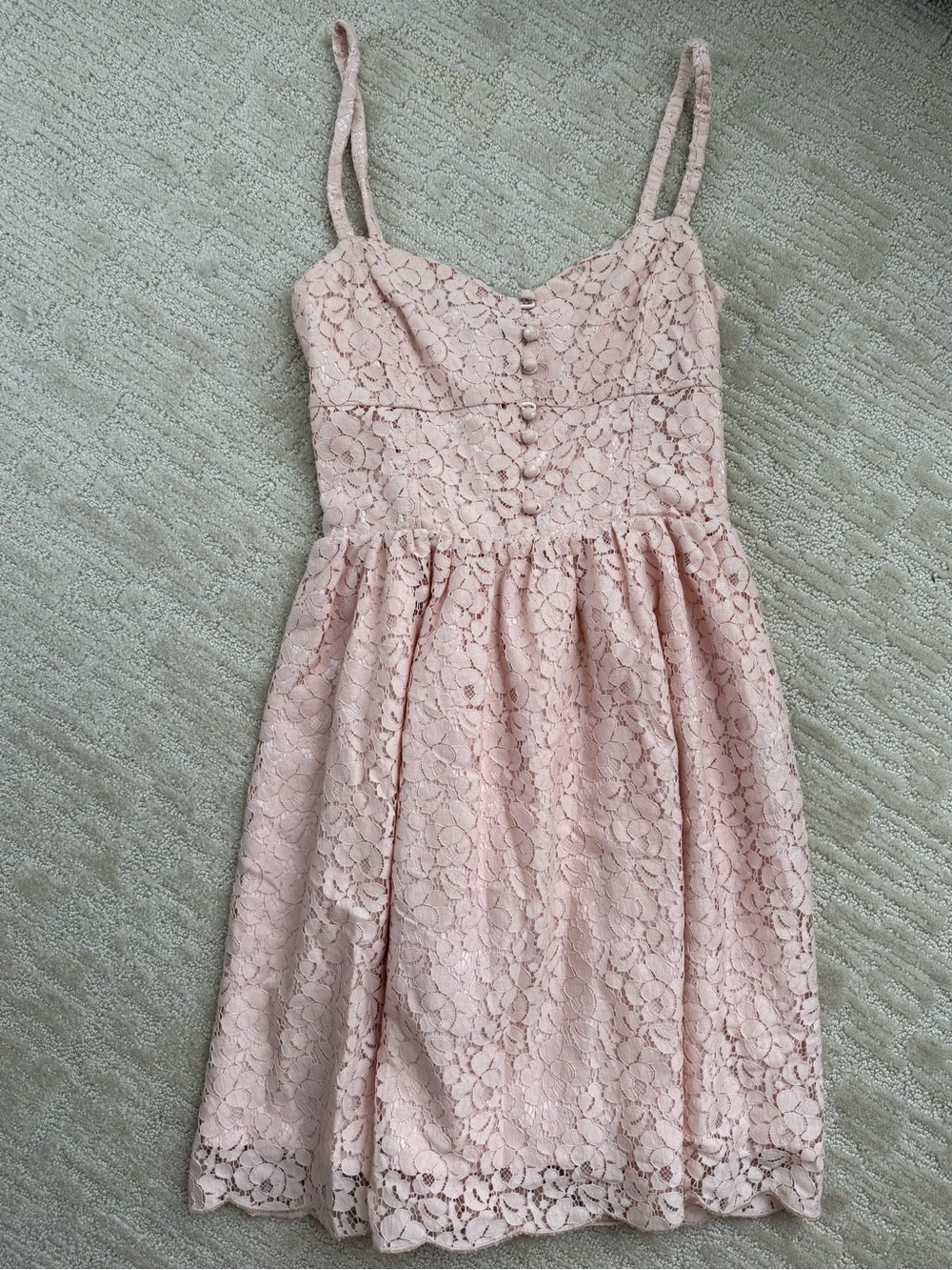 Talula Blush Lace Detail Dress